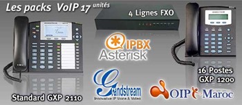 Pack GrandStream 1 standard de 4 lignes et 16 postes extensible a 30 postes GS4/4