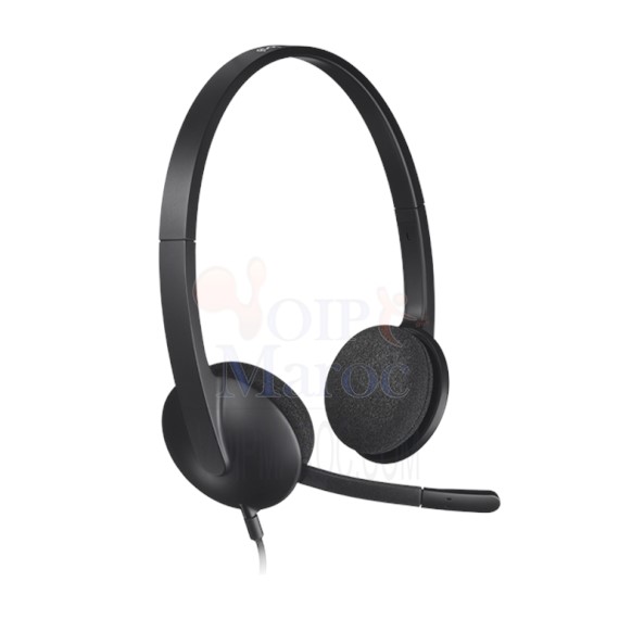 Casque Stéréo  sans Fil H600 981-000342