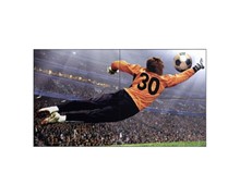 Mur D'image 49" (124,5 cm) IPS 3,5mm 500cd/m2