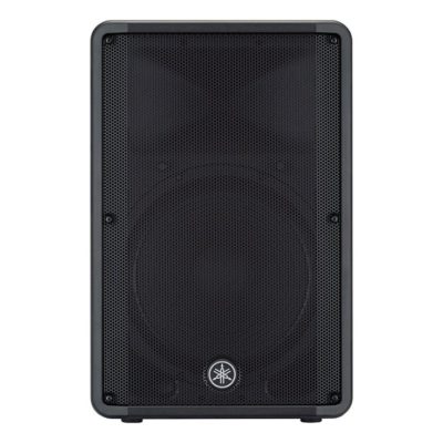 HAUT-PARLEUR ENCEINTE PASSIVE 15" 500W sous 8 ohms CBR-15