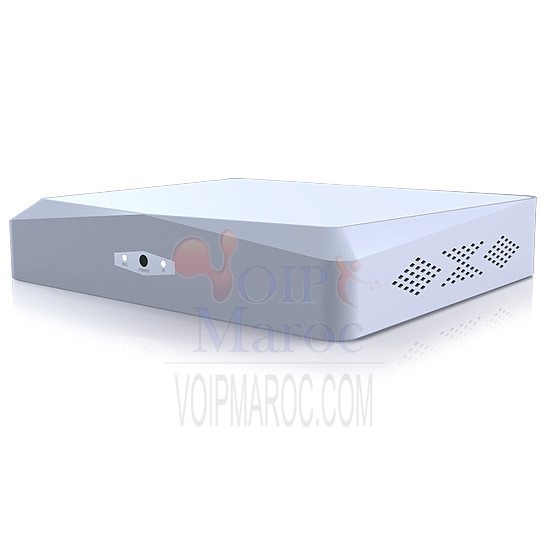 DVR Professionnel AHD 8CH / H.264 / 100FPS + VGA + HDMI D2803