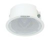 Haut-Parleur Secondaire de Plafond 6W