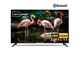 Télévision 75″ Revolution Galaxy 4K Smart Tv + Récepteur intégré + TNT Télévision 75″ Revolution Galaxy 4K Smart Tv + Récepteur intégré + TNT