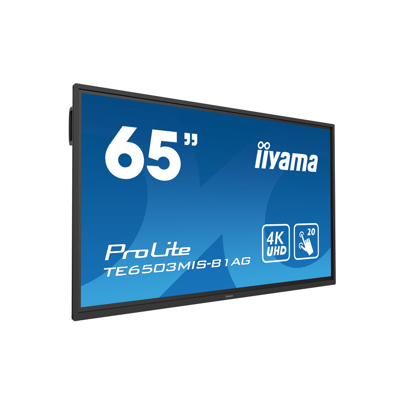 Écran tactile LCD interactif 65 pouces avec logiciel d'annotation intégré TE6503MIS-B1AG