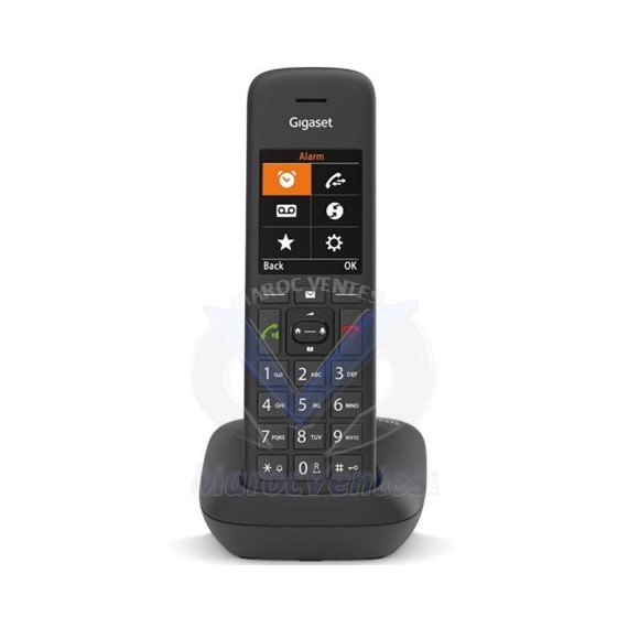 Téléphone sans fil DECT avec écran couleur 4250366861685