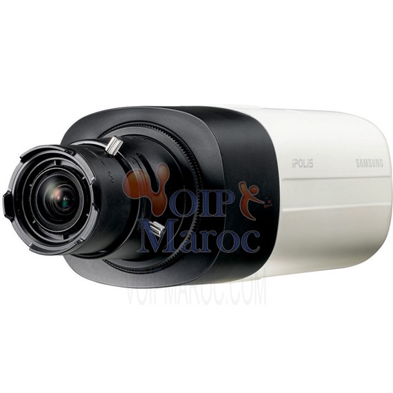 Caméra réseau 5MP SNB-8000