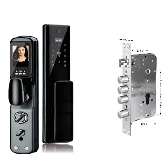 SERRURE DE PORTE INTELLIGENTE Wi-Fi AVEC ECRAN WIFI TUYA+EMPR.+NFC+CODE+CLES+LCD/DI-T07B NOIR D4103T7LCD