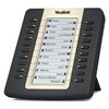 Module Extension