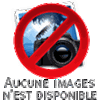 Support Dialogic 1AN S-D-1Y