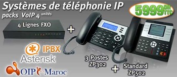 IPBX Asterisk a 4 Lignes avec 10 Postes IPBX10