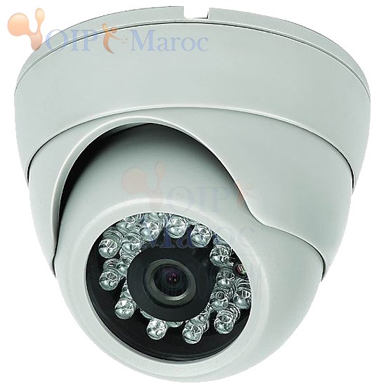 Camera Etanche extérieur longue portée 04LIRDPHHD
