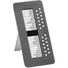 Module D Extension 9600 SBM24 Gris