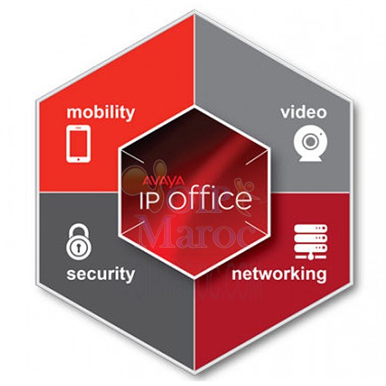 IP OFFICE R10 POWER HARDWARE DEMO KIT INTERNATIONAL 700511216