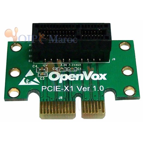 Carte Raiser PCIe ACC1002