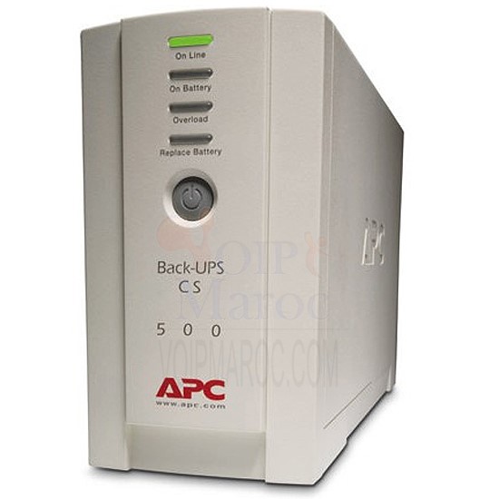 Onduleur Back-UPS 500 230 V BK500EI