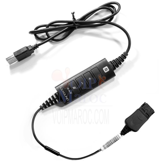 Cordon USB avec carte son intégrée et commandes volume, mute