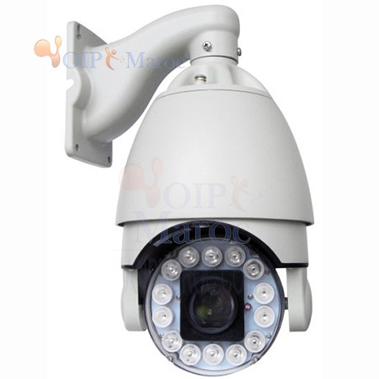 High Speed Dome Camera 6" IR D1013CA