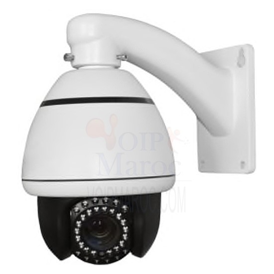 IP MINI HIGH SPEED DOME CAMERA SONY 1/3" CMOS ZOOM10X D1857