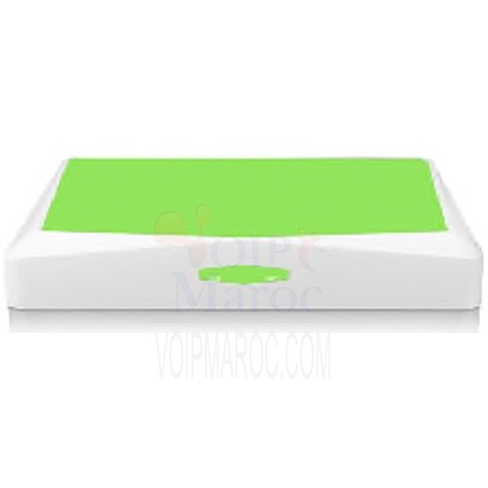 NVR IP 4 CH H.264 HDMI+VGA/REALTIME/P2P D2002