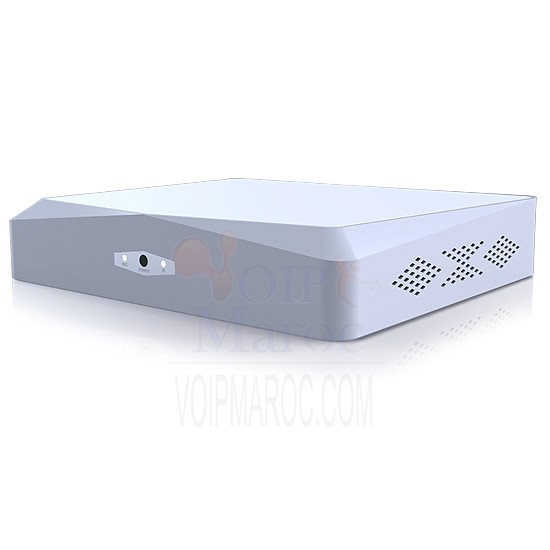 Professional AHD DVR 8CH/H.264/100FPS+VGA+HDMI D2010
