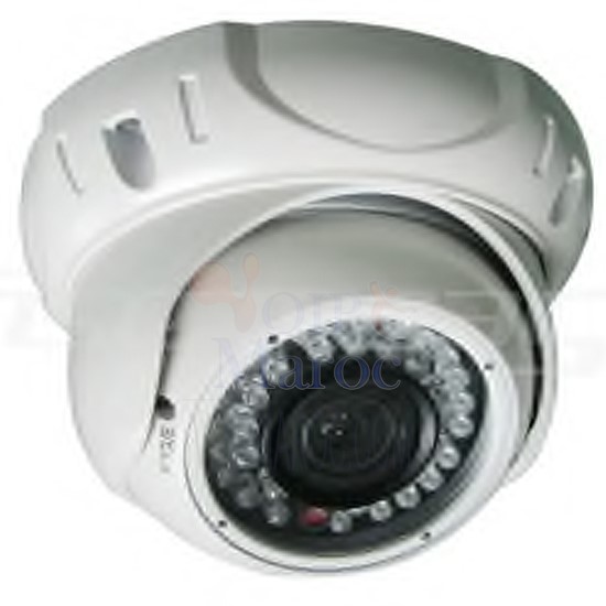 Camera IP Dome 1MP ANTIVANDALE infrarouge POE D2021