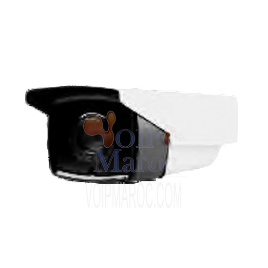Caméra 720P/1 megapixel, 1/4’’progressive scan CMOS D2411