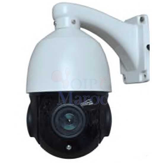 Caméra Mini High Speed Dome 1.3MP Zoom18X D2810