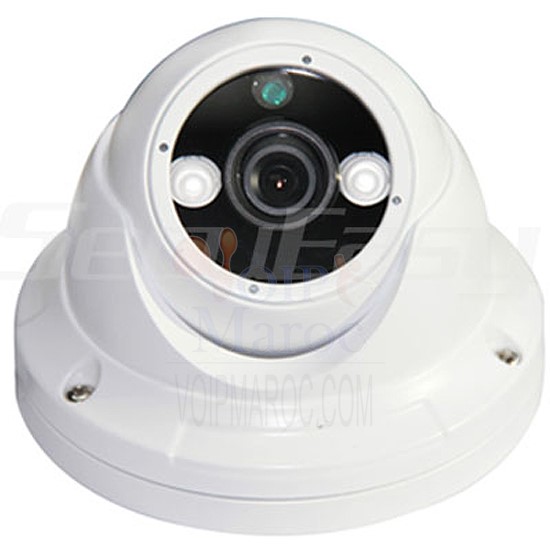 Camera AHD Dome D2825