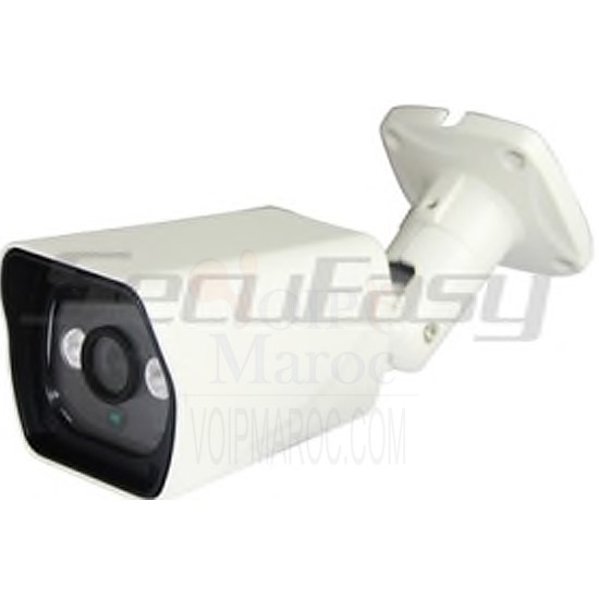 Camera IP 1 MP Etanche Weatherproof Infrarouge Distance: 30-40M D2842
