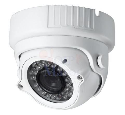 Caméra mini dôme Anti-Vandal, Objectif couleur 1/3" Sony 700TVL DM-669G
