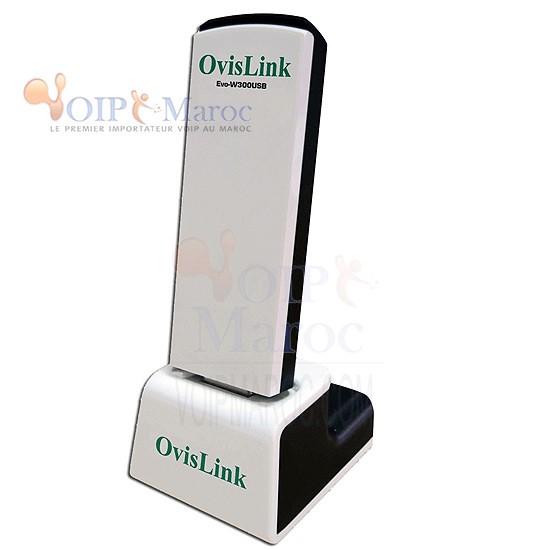 Clé USB Réseau WIFI N 300 EVO-W300USB