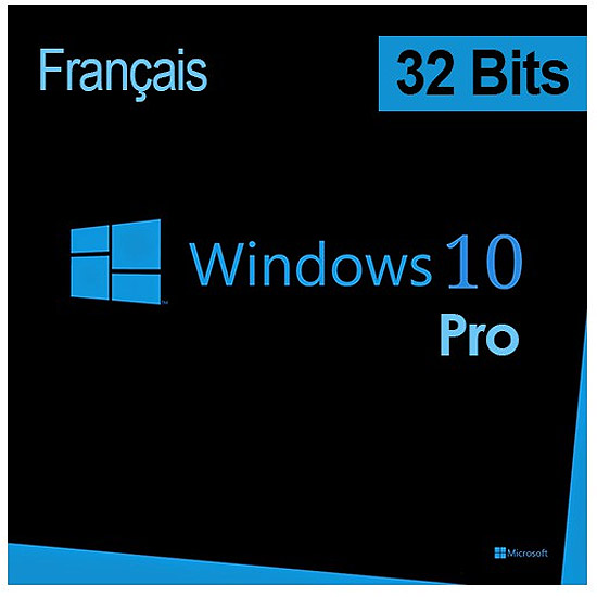 MS Win Pro 10 Win32 French 1pk DSP OEI DVD FQC-08960