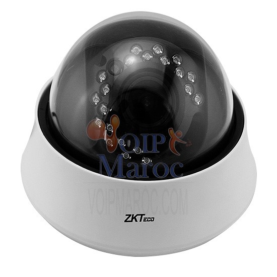 Camera IP Avec POE 2.0 megapixel ,1/3"SONY GT-DB520
