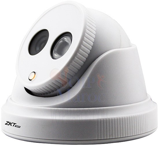 Caméra IP avec POE 2.0 Megapixel 1/3"SONY GT-DC520