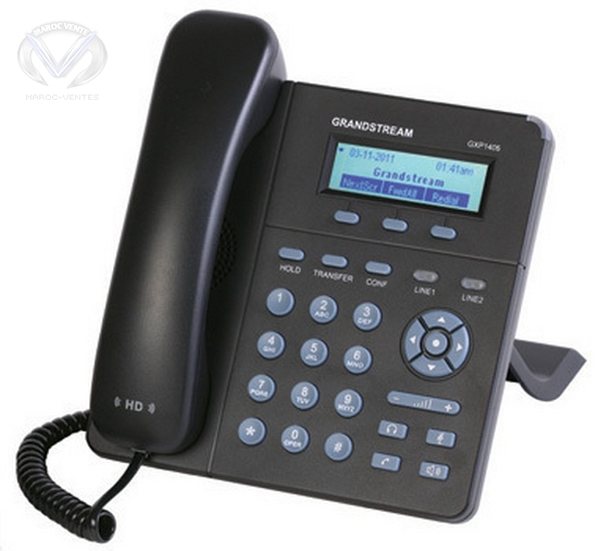 Téléphone IP 2 lignes / 1 compte SIP GXP1400