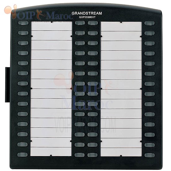 Extension de telephonie ip GXP2020 GXP2020EXT