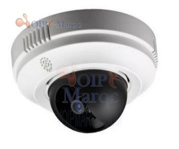 Caméra IP de la basse lumière CMOS GXV3611_LL