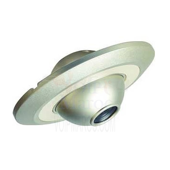 Caméra PLafonnière Métallique Grise 1/3" 420TVL I217