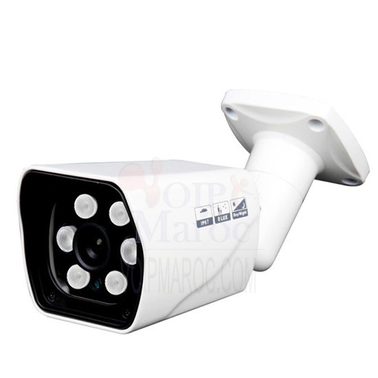 Caméra 1 Megapixel Full Real Time 1/4’CMOS Image Sensor NA108VP