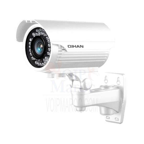 CAMÉRA ANALOGIQUE 1/3