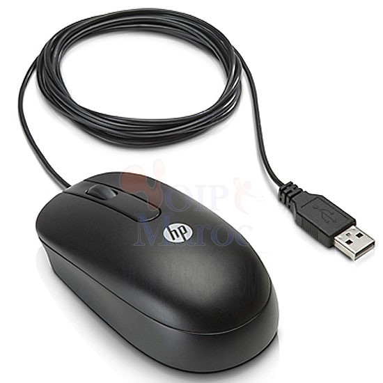 Souris à Molette Optique USB HP QY777AA