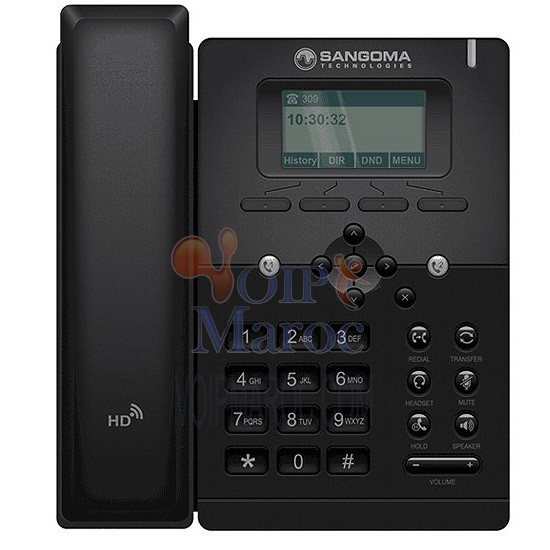 Téléphone IP 2 Comptes SIP 2 Ports Ethernet S300