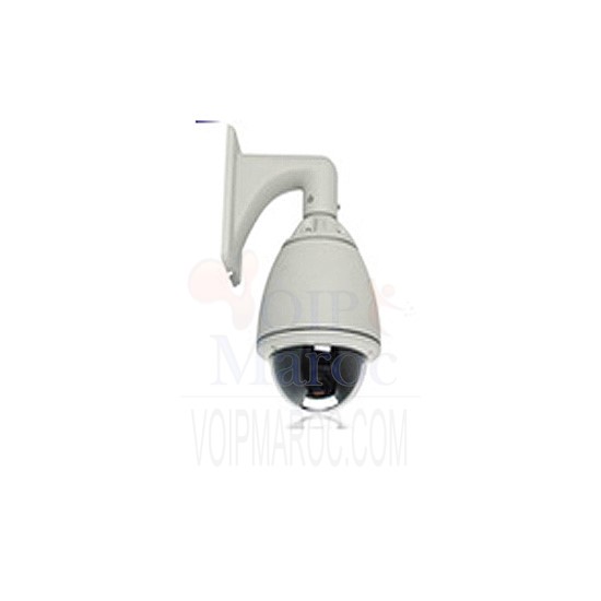 Caméra Speed dome couleur étanche 700TVL SC-700-22XA
