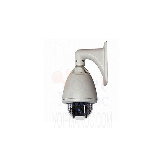 Caméra Speed dome couleur étanche 700TVL Jour/Nuit SC-700-22XF