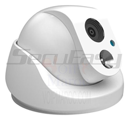 Caméra Vandalproof IR LED 700TVL SE-CA342F