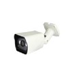 Camera 1 megapixel, 1/4’’progressive scan CMOS; dual-core 32-bit SE-NA104VH