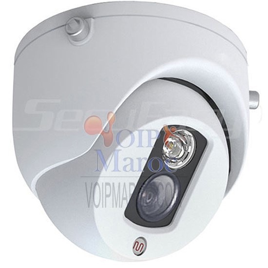 Camera COLOR 1/4" HD DIGITAL SENSOR D1412
