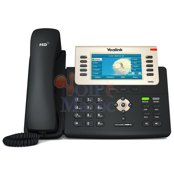 Téléphone IP 16 comptes SIP grand écran couleur 4,3" PoE SIP-T29G