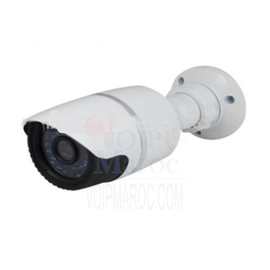 camera etanche 2 Mega pixels DM-6038AHD