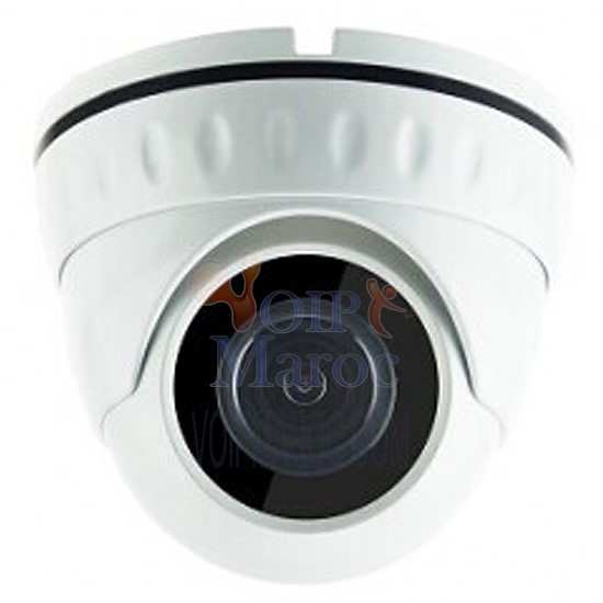 CAMERA DOME INTERIEUR FIXE 4 MEGAPIXEL 3.6MM VTRDN310PS